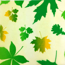 Load image into Gallery viewer, Reusable Beeswax Cloth Wrap Food Fresh Bag Lid Cover Stretch Lid Jungle Party Bees wax wrap plastic wrap for Sandwich Cheese
